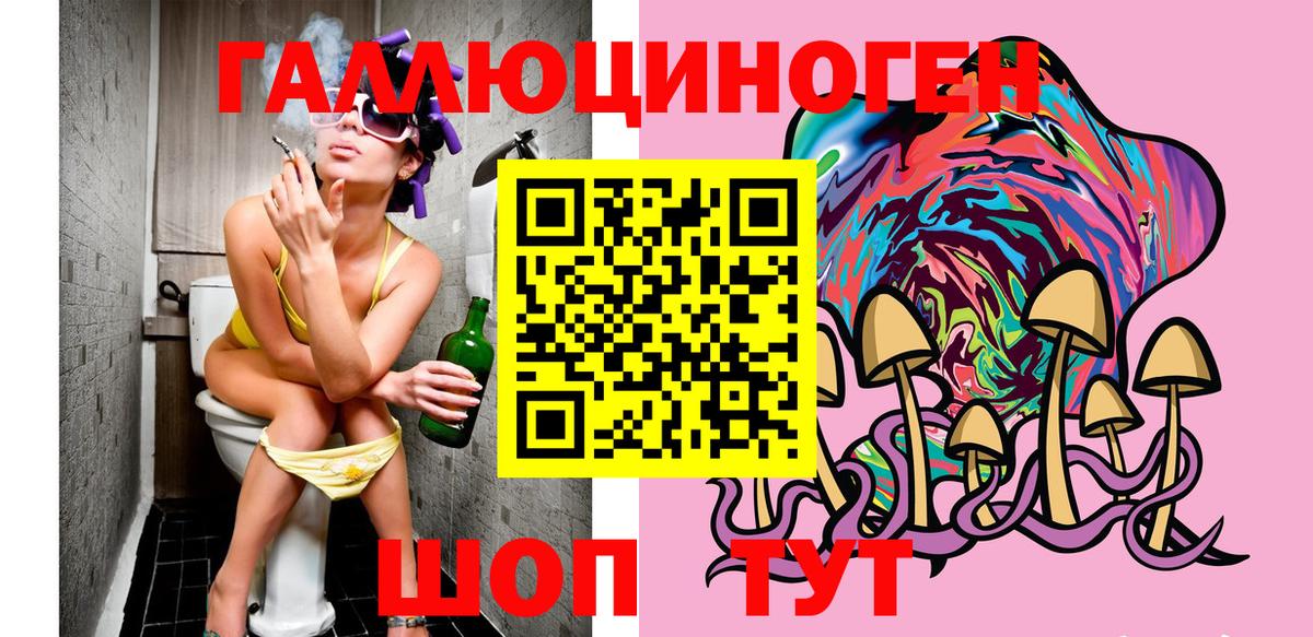 Дзержинск  Галлюциногенные грибы Psilocybe  Вход с VPN 